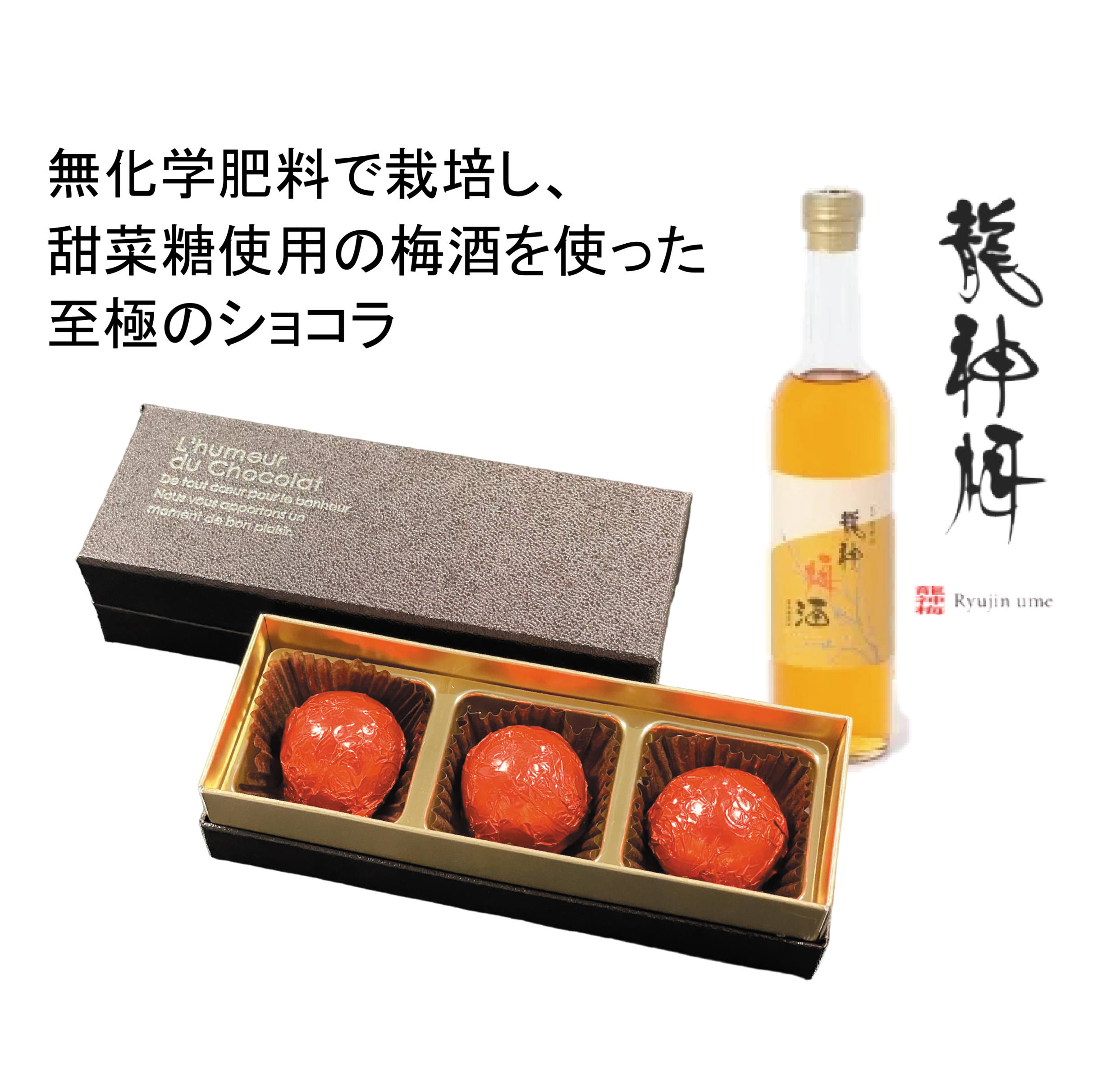 龍神梅酒　黒糖　甜菜糖　４本セット 龍神梅酒とのコラボショコラ | 紀州銘菓 福菱（かげろう）